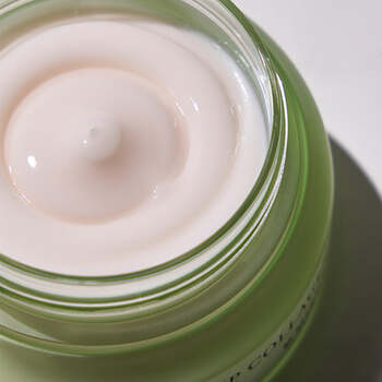 Phyto Plump Collagen Night Cream - Nočný pleťový krém
